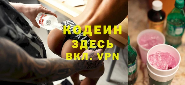 соль ск Няндома