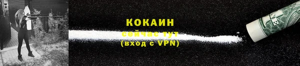 соль ск Няндома