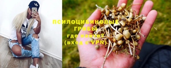 меф Нягань