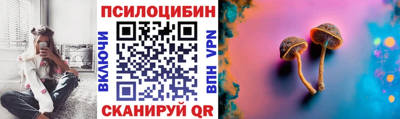 Псилоцибиновые грибы Cubensis  Уфа 