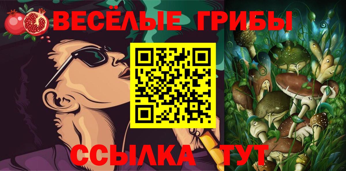 Псилоцибиновые грибы Psilocybine cubensis Уфа